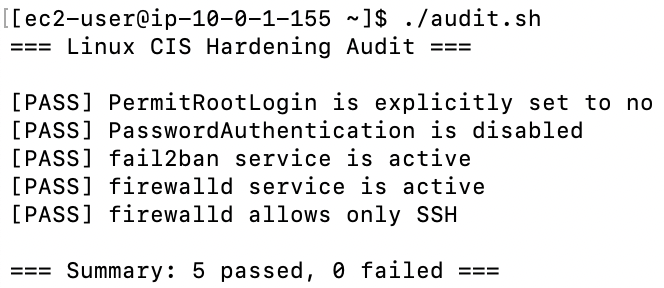 CIS benchmark audit output showing all checks passed