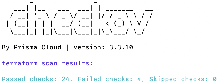 Checkov scan results showing passed and failed policy checks